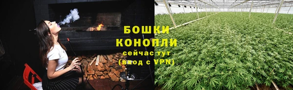 ГАЛЛЮЦИНОГЕННЫЕ ГРИБЫ Магадан
