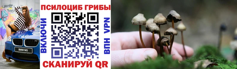 нарко площадка формула  hydra маркетплейс  Томмот  Галлюциногенные грибы Psilocybe 